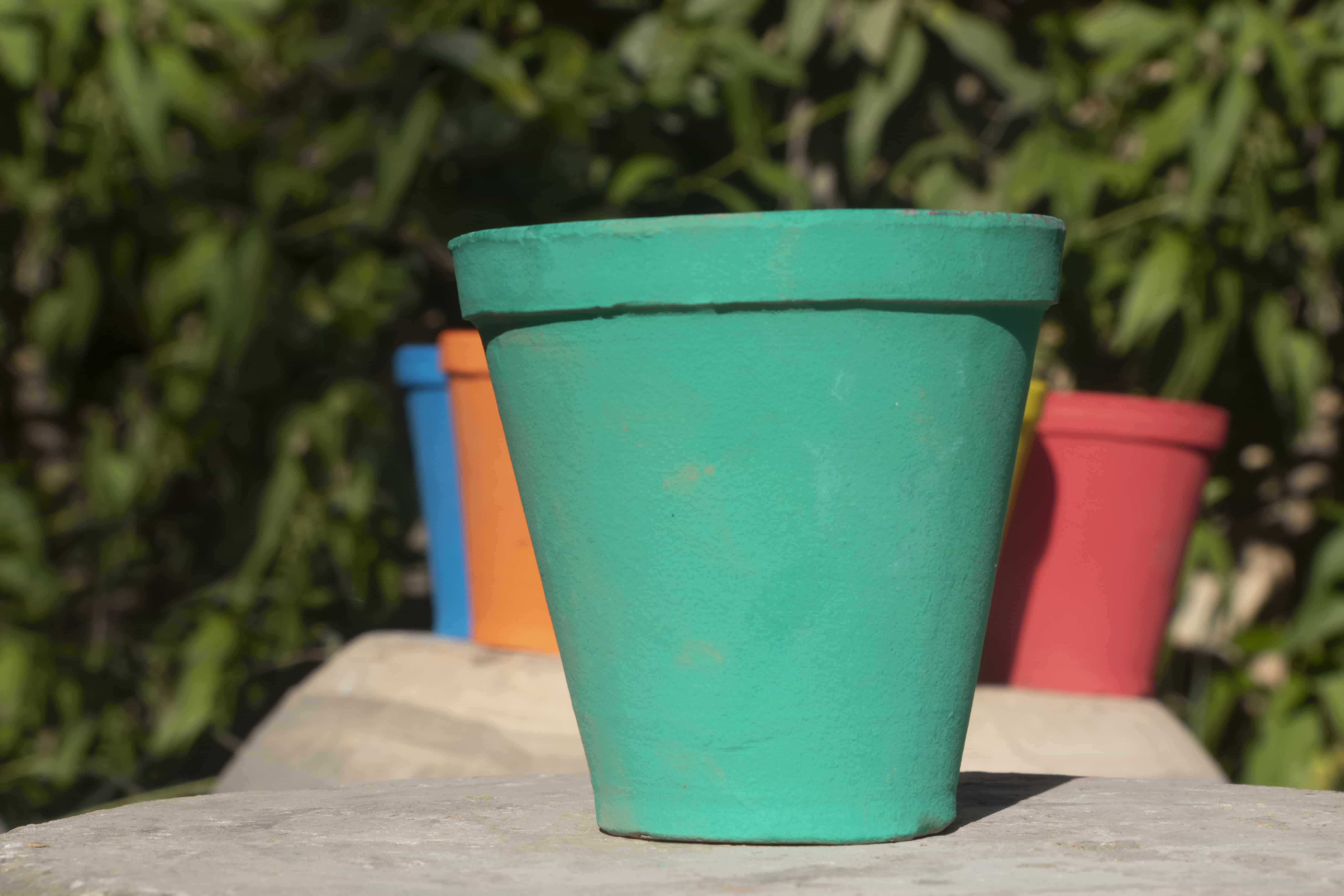 Green Pots